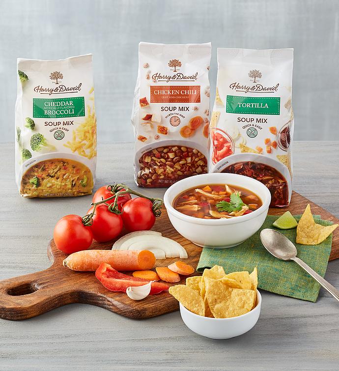 Savory Gourmet Soup Collection